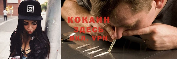 дурь Вяземский