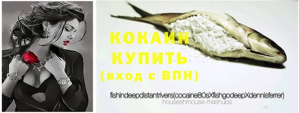 дурь Вяземский