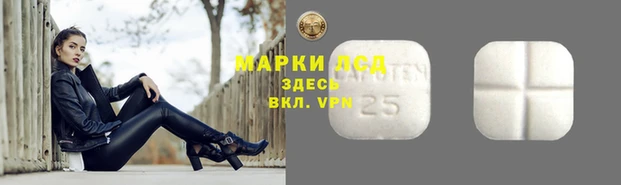 дурь Вяземский