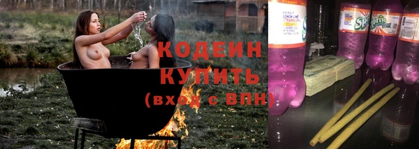 дурь Вяземский