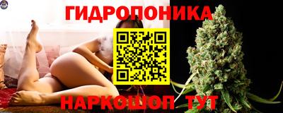 Альфа ПВП Бийск
