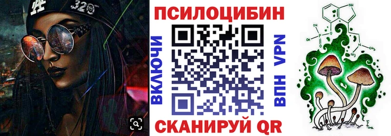 цена   Зеленогорск  Галлюциногенные грибы MAGIC MUSHROOMS 