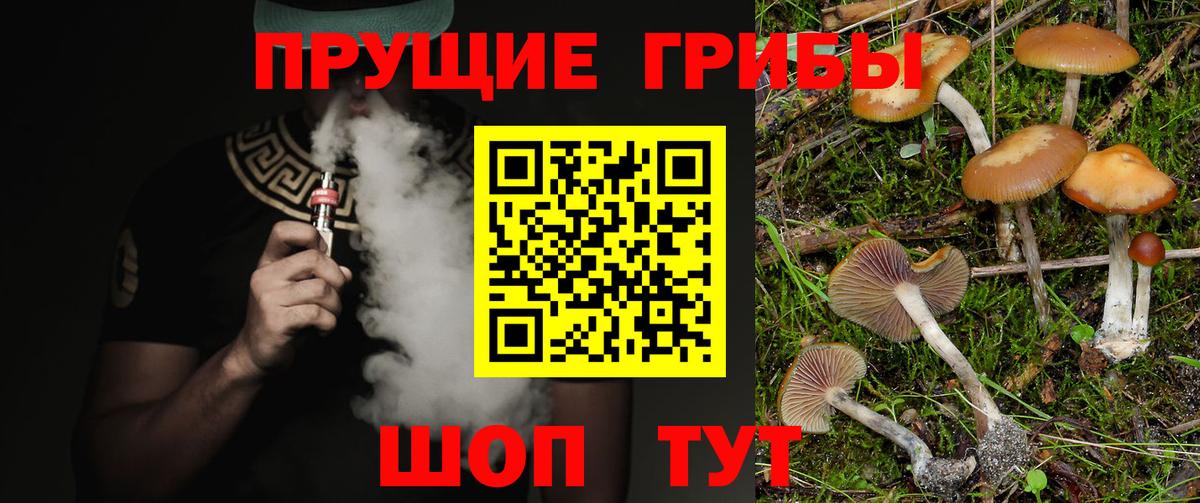 Псилоцибиновые грибы Cubensis  Вход с VPN  Зеленогорск  Галлюциногенные грибы ЛСД 